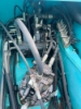 Ảnh của Máy đào vánh xích Kobelco SK200-8