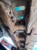 Ảnh của Máy Đào bánh xích Kobelco SK320-6e